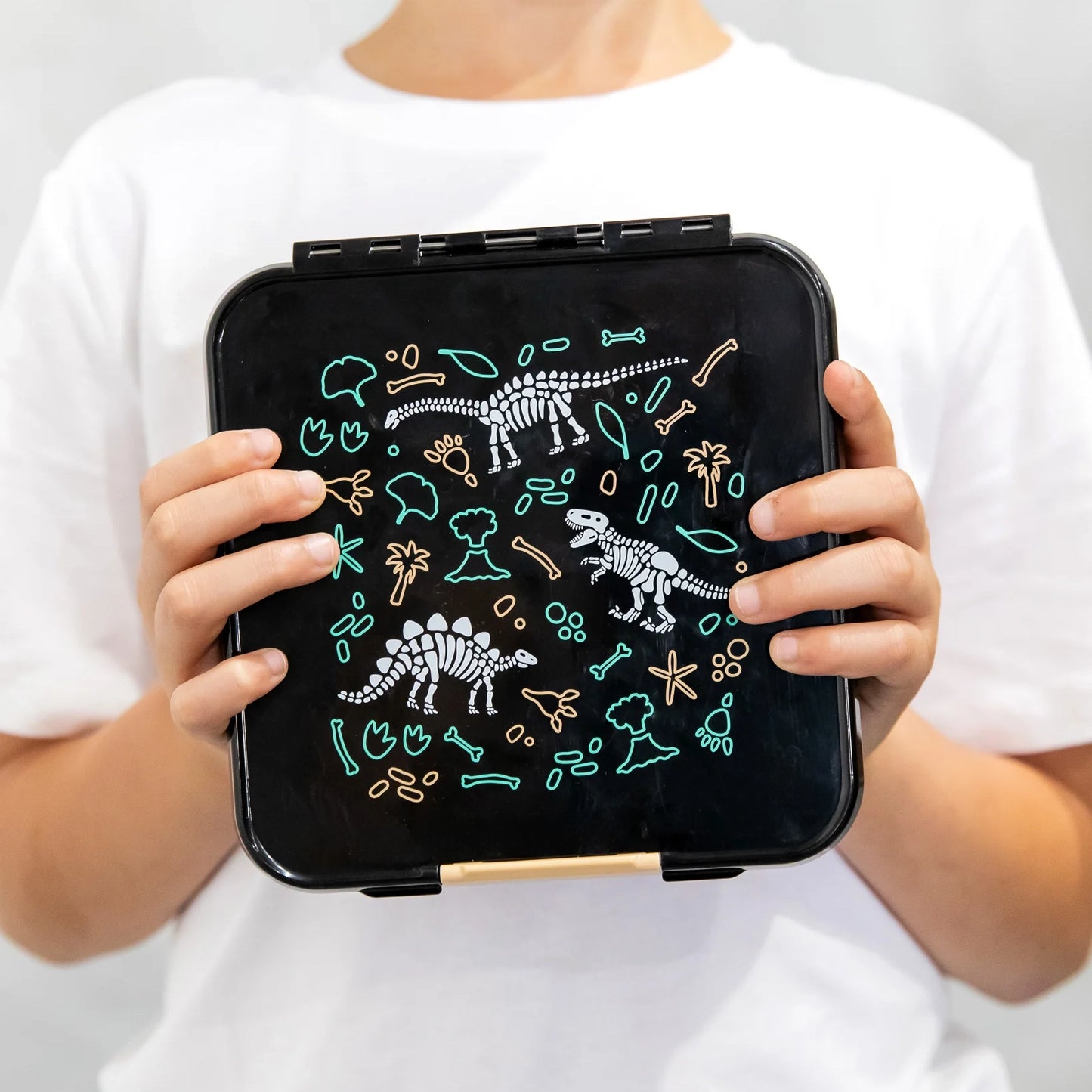 Bento Three - Dinosaur Land