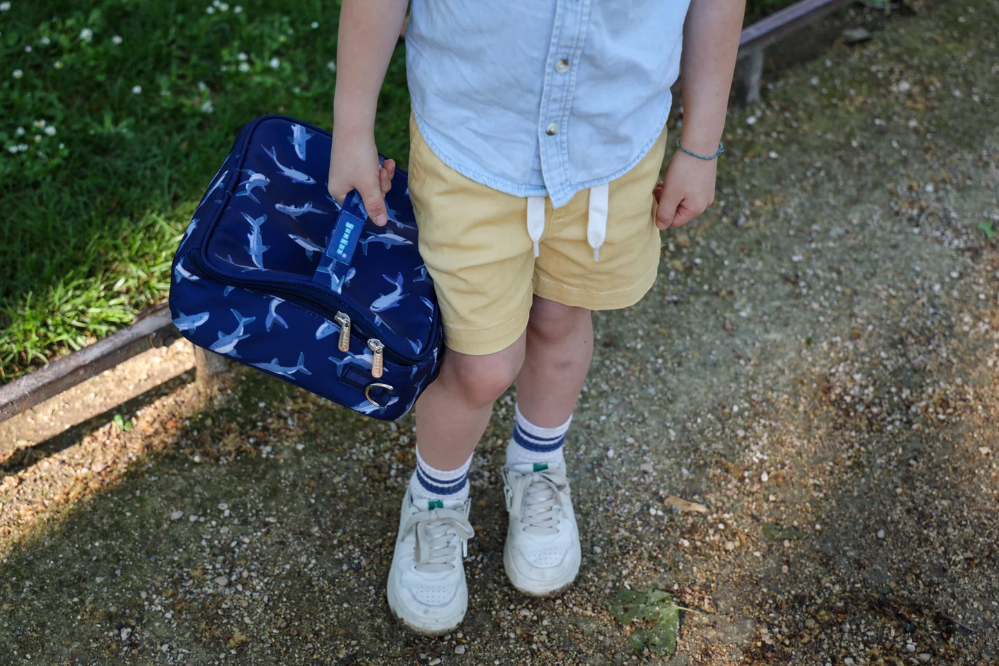 Yumbox Classic (több mintával)