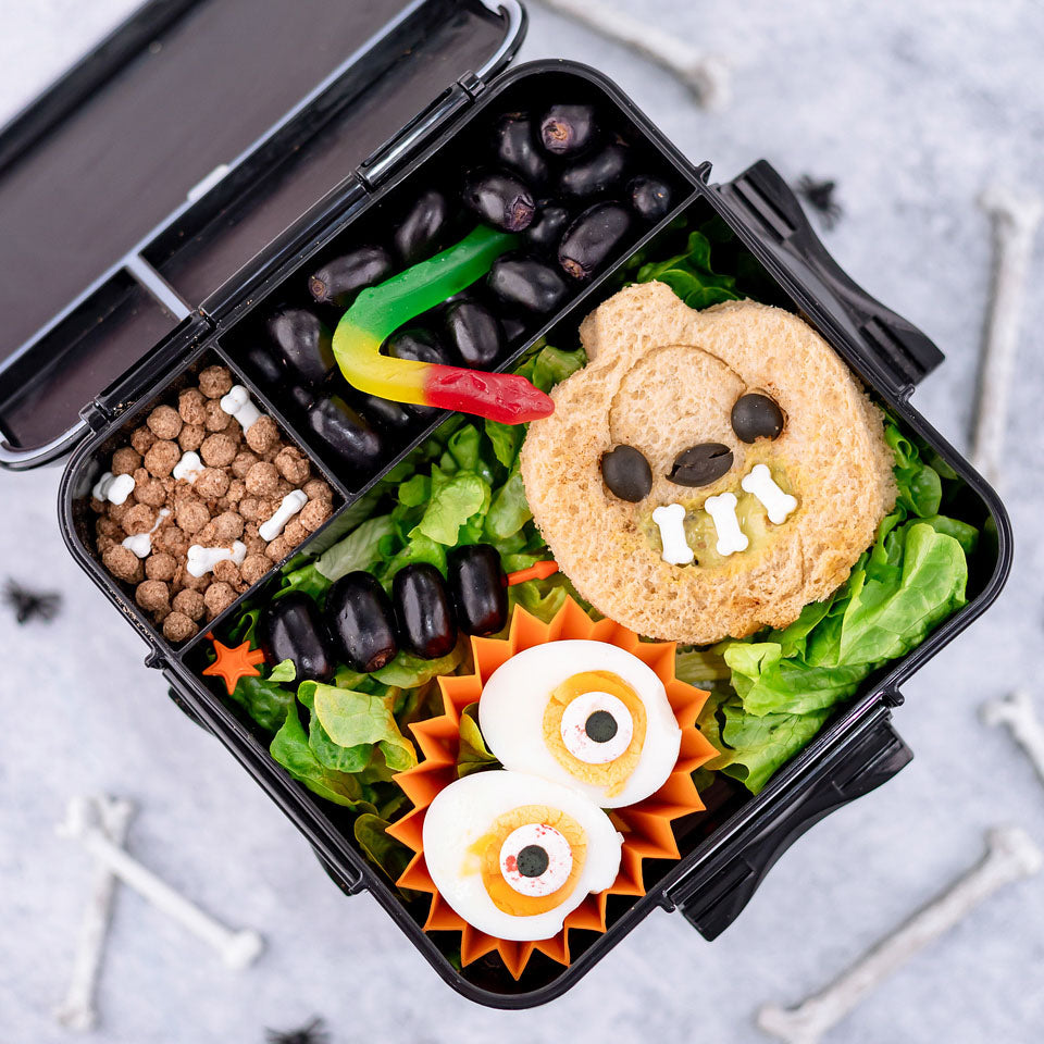 Bento Three Plus - Midnight