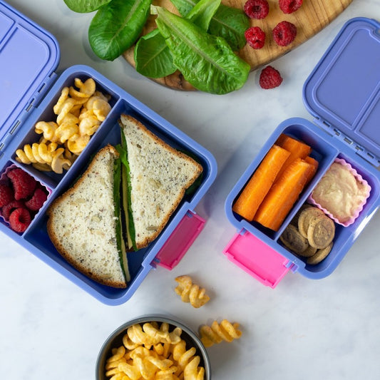 Bento Two - Grape