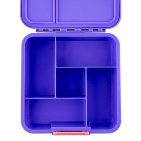 Bento Five - Grape