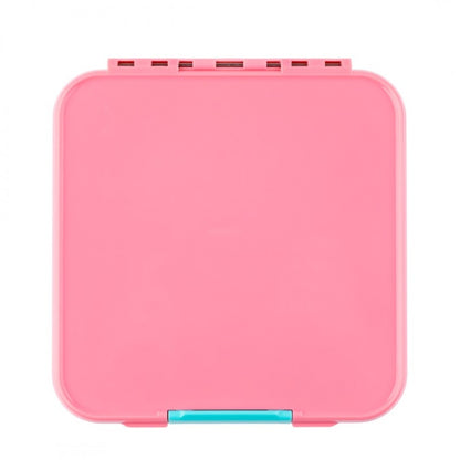 Bento Five - Strawberry